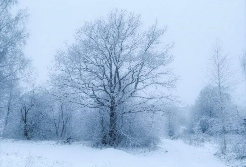 labconco freeze zone lyophilizer user manual pdf