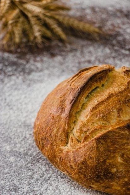 zojirushi bread machine manual bb hac10